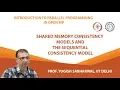 Shared Memory Consistency Models and the Sequential Consistency Model