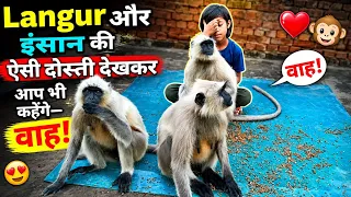 😱🐒 Langur और इंसान की ऐसी दोस्ती देखकर आप भी कहेंगे—वाह! ❤️