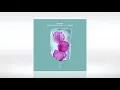 Track of the Day (21/03/2021) ~ EMBRZ - Light Falls (Original Mix) ~ [This Never Happened]