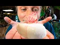 WHAT DID I JUST CUT IN THIS SNAKE EGG MYSTERY SNAKE BRIAN BARCZYK
