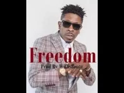 Download MP3 Shatta Wale   Freedom (Karaoke)