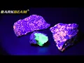 The Top 5 Best UV Flashlights in 2025 - Must Watch Before Buying