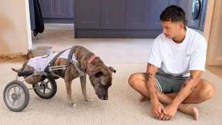 She Was Thrown Off a Ledge.. But Got a Second Chance at Life