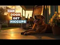 Can Dogs get Hiccups
