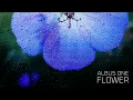 Albus One - Flower