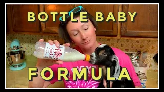 HOMEMADE Baby GOAT Formula