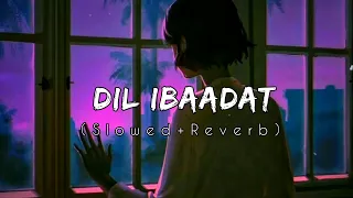 dil ibaadat slowed reverb pritam u0026 kk tum mile maya vibes textaudio