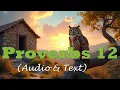 Proverbs 12 KJV BIBLE With Text Images
