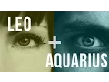 Leo Aquarius Love Compatibility