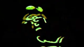 حالات واتس اجمل صوت انتي عسوله كيوت 