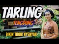Download Lagu TARLING TENGDUNG__ COCOK BUAT PENGANTAR TIDUR NYENYAK