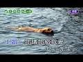 小姐請你乎我愛~羅時豐&王瑞霞~合原Bb調~伴奏導唱