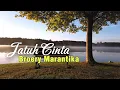 Download Lagu BROERY MARANTIKA - Jatuh Cinta ( Lirik )