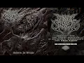 Lagu Insect Inside - Hiveborn Abomination (ft Josh Welshman of Defeated Sanity)