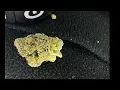 Iced Out Cake by Good Day Farms