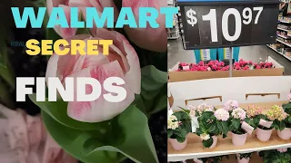 Shopping Walmart Garden Center Secret finds Hydrangea Tulips Hyacinths Florida Zone 9