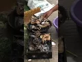 Story WA, Bakar-Bakar Ikan.,,,