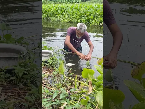 Beautiful village fishing #fishing #handfish #fish