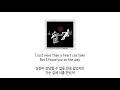 [가사 번역] 캐쉬 캐쉬 & 앤디 그래머 (Cash Cash & Andy Grammer) - I Found You