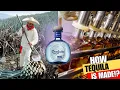Download Lagu How TEQUILA is Made From Agave Plant | DON JULIO Tequila Production
