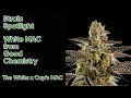 White MAC - Strain Spotlight