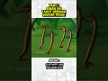 Download Lagu PART 1 SINGA INI TAKUT DENGAN SEEKOR TIKUS!
