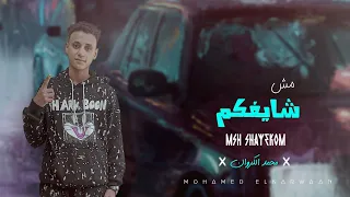 مهرجان مش شايفكم   محمد الكروان        دندنها