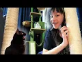Download Lagu KATTENTOREN EN KRABPALEN voor TOETJE EN CHIP!