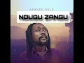 Download Lagu Afande sele  Ndugu zangu