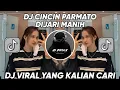 Download Lagu DJ CINCIN PARMATO DI JARI MANIH JEDAG JEDUG MENGKANE VIRAL TIKTOK