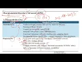 Exam Review - ADPIE process www npcertificationacademy com