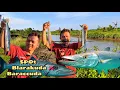 Download Lagu AKHIRNYA NEMU SPOT IKAN BARACCUDA