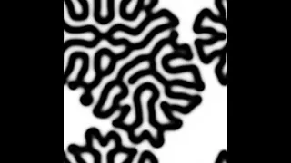 Reaction Diffusion Algorithm seamless 2