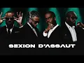 SEXION D'ASSAUT - // Sous IA // Tu me rend bête // 2025 (Exclu album Retour des rois)