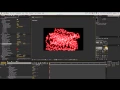 Plexus 2 basic introduction