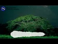 Una Noche Más - Cobuz & Bustta, Beéle (Slowed + Reverb) VMR
