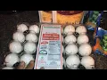 Weekly Grocery Haul Harris Teeter Aldi Keto Friendly Haul Less than 70
