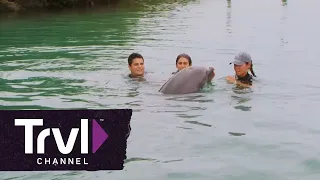 Top 5 Beaches for Families Travel Channel