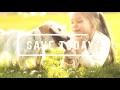 Pet Supplies 4 Less - Save 5 on 75 Order