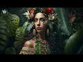 Download Lagu Orkhan Nukha - Nana