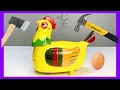 What s Inside the Laying Eggs Hen