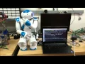 NAO Project Demo