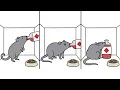 The Experiment That Changed How We See Addiction