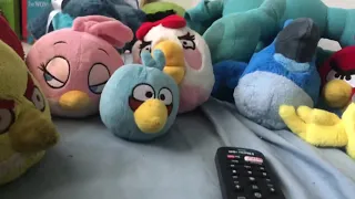 angry birds short f100 truck