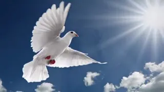 روح الله نحن نسأل جلال سالم عزف على العود ترنيم سارة جلال سالم عزف وترنيم هلال سالم 