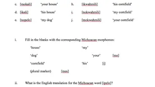 Morphology part 3