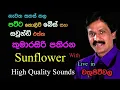 Download Lagu Kumarasiri Pathirana with Sunflower | Live Show in Wathupitiwala |