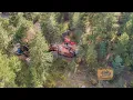 Estes Park Co Vacation Rental Walk Thru - Rejuvenation Mountain