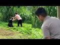 Download Lagu 18 year old girl harvests bamboo shoots - evil woman comes to destroy girl's vegetable garden
