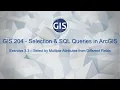 Exercise 3 3 - Select by Multiple Attributes From Different Fields